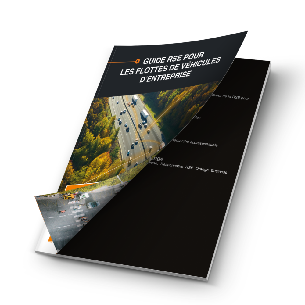 Mockup-livre-blanc-RSE-_1_ Mockup-livre-blanc-RSE-_1_