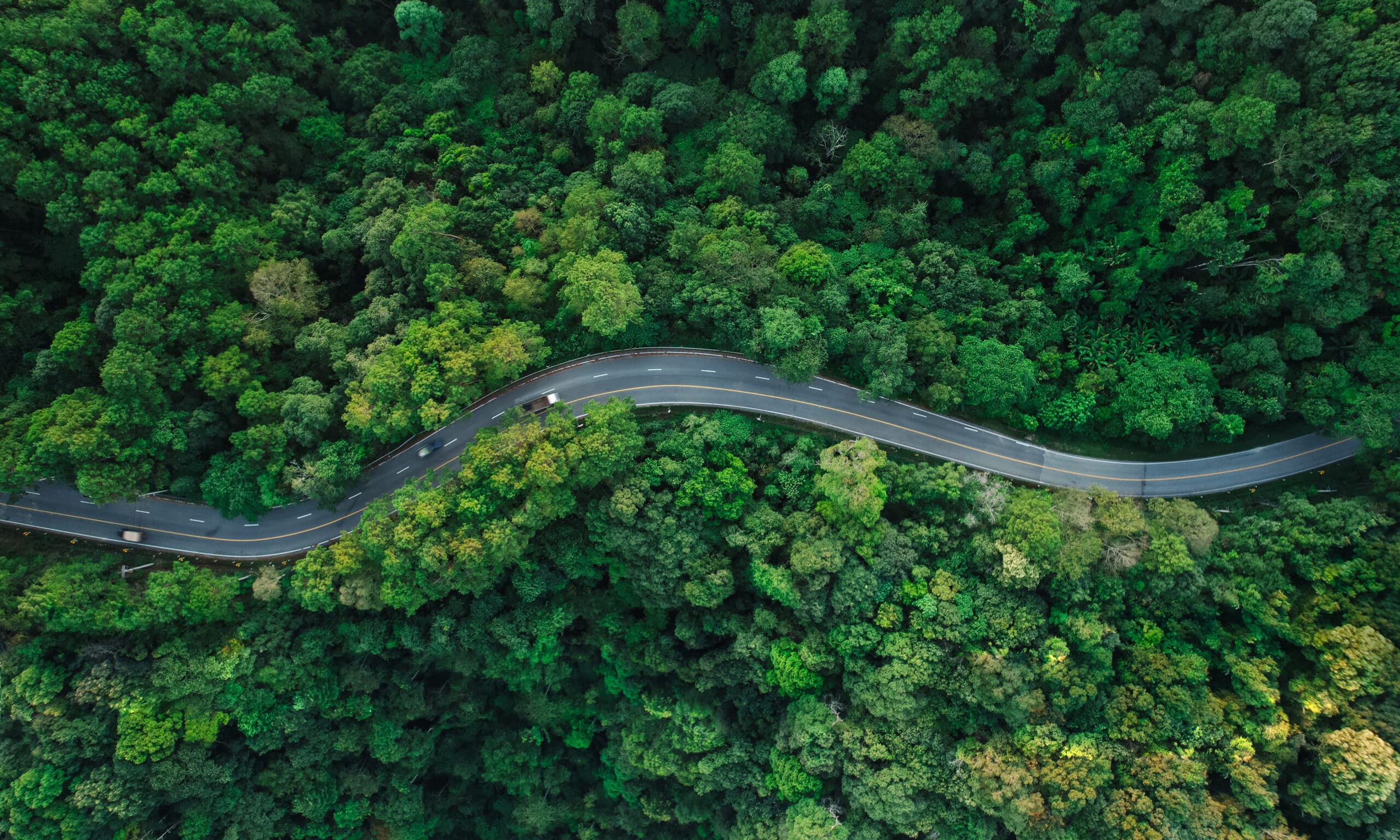 Route sinueuse traversant une forêt vue du ciel, illustrant l’éco-conduite et la transition écologique des flottes d’entreprise.