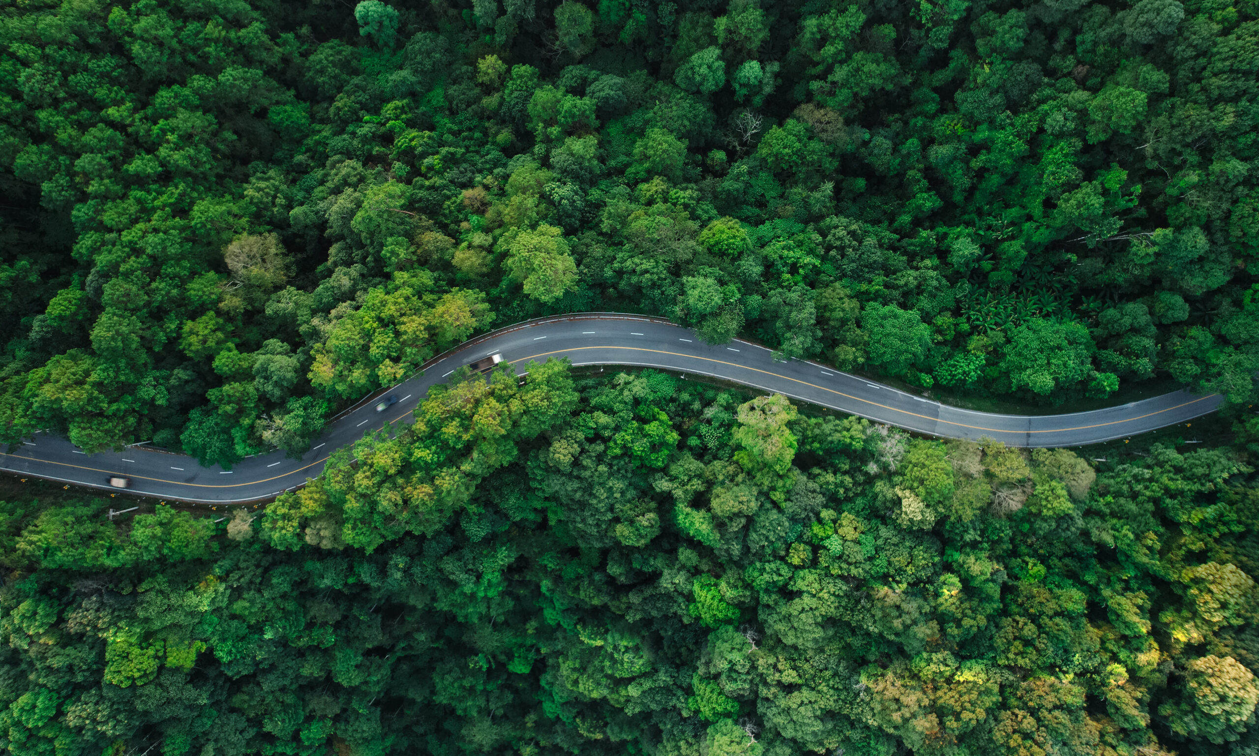 Route sinueuse traversant une forêt verdoyante, symbolisant la transition vers une mobilité plus durable et la promotion de la conduite écoresponsable en entreprise.