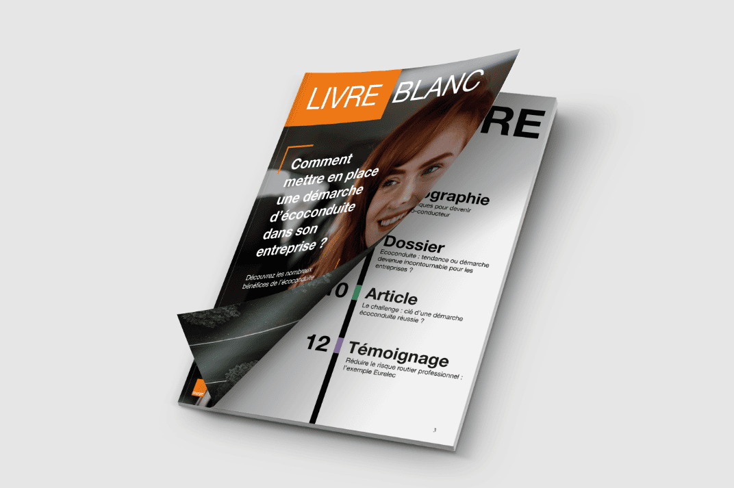 Livre blanc sur l’écoconduite en entreprise expliquant comment mettre en place une démarche d’écoconduite et sensibiliser les collaborateurs à une conduite plus responsable.
