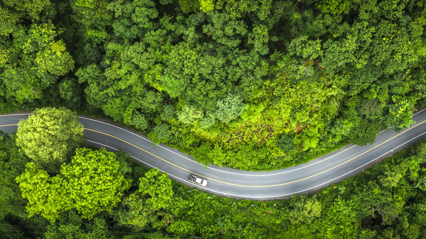 Aerial view green forest and asphalt road, Top view forest road going through forest with car adventure, Ecosystem ecology healthy environment road trip travel.