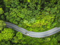 Aerial view green forest and asphalt road, Top view forest road going through forest with car adventure, Ecosystem ecology healthy environment road trip travel.