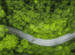 Vue aérienne d’une route traversant une forêt illustrant l’écoconduite et l’engagement RSE du module d’écoconduite Océan.