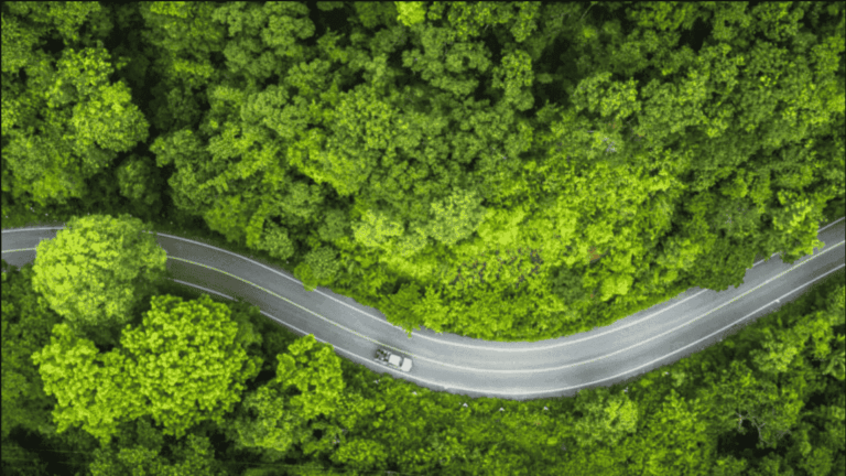 Vue aérienne d’une route traversant une forêt illustrant l’écoconduite et l’engagement RSE du module d’écoconduite Océan.